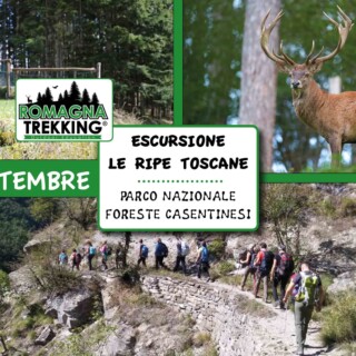 Ripe Toscane Pian del Grado Bramito cervo Escursione Parco Nazionale Foreste Casentinesi